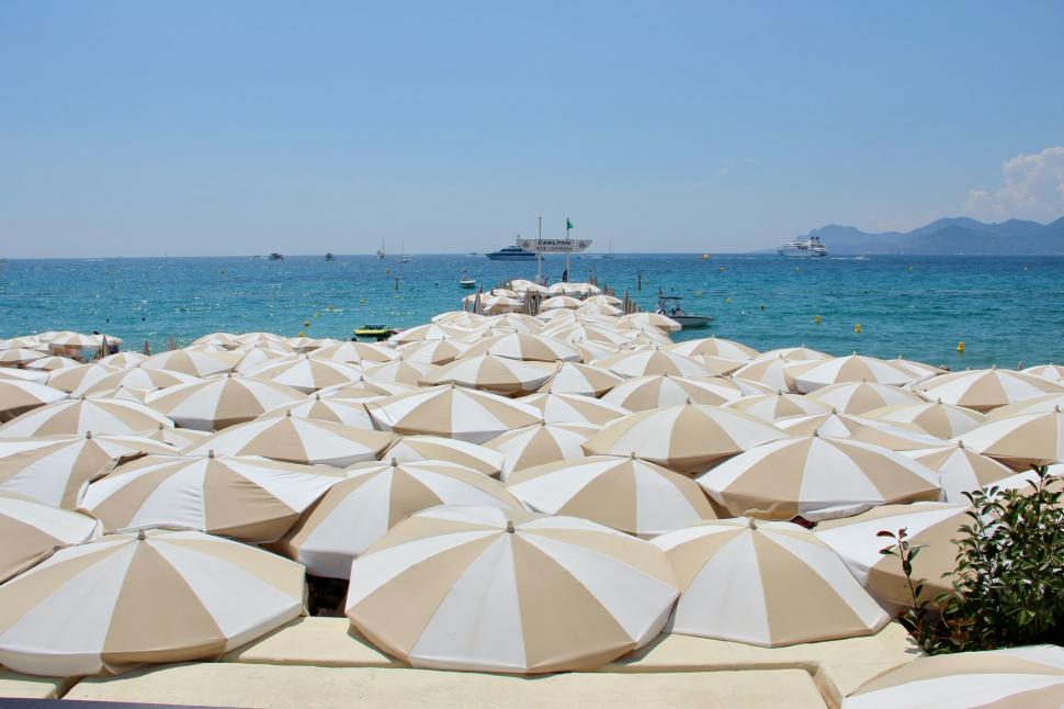 Hotel Alnea - Cannes